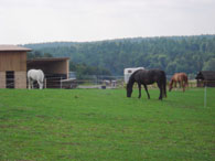 boxen