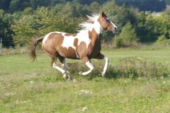 45