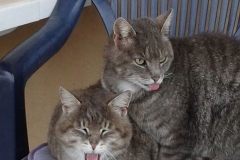 57